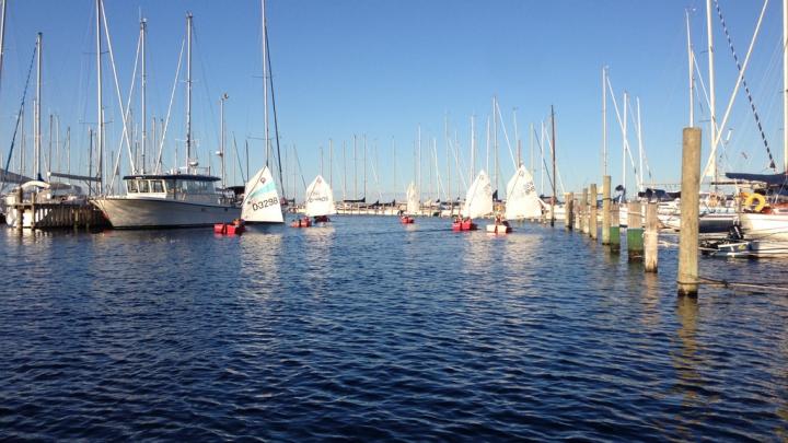 Optimistjoller i havnen